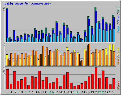 Daily usage for January 2007